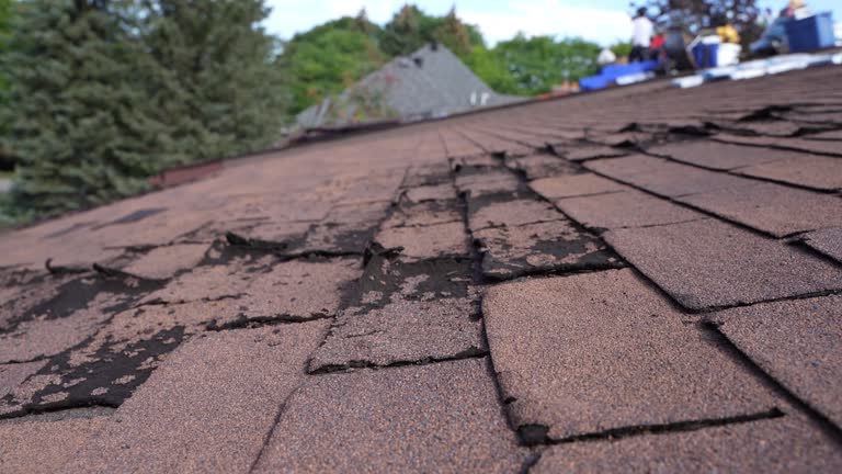 Best Tile Roofing Installation  in Wilberforce, OH